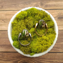 Load image into Gallery viewer, Bonnet Forest Scene Deep Well CONQUERing Element