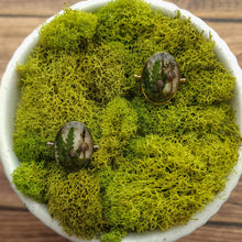 Load image into Gallery viewer, Bonnet Forest Scene Deep Well CONQUERing Element