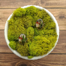 Load image into Gallery viewer, Witch's Hat Forest Scene Deep Well CONQUERing Element