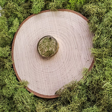 Load image into Gallery viewer, Spruce Body Circle Dangles