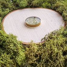 Load image into Gallery viewer, Oak Circle Dangles