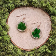 Load image into Gallery viewer, Oak Circle Dangles