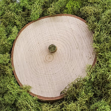 Load image into Gallery viewer, Moss Flat Studs