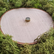 Load image into Gallery viewer, Moss Flat Studs