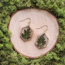 Load image into Gallery viewer, Yew Top Hexagon Dangles