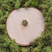 Load image into Gallery viewer, Grove Mini Hexagon Dangles