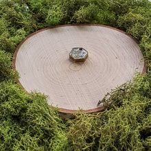 Load image into Gallery viewer, Thicket Mini Hexagon Dangles