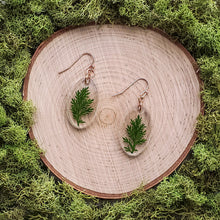 Load image into Gallery viewer, Oak Oval Dangles