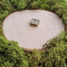 Load image into Gallery viewer, Thicket Square Dangles