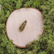 Load image into Gallery viewer, Spruce Tear Drop Dangles