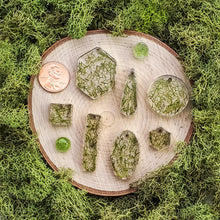 Load image into Gallery viewer, Thicket Mini Hexagon Dangles