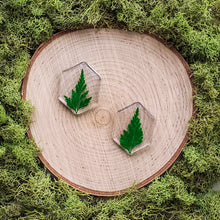 Load image into Gallery viewer, Grove Hexagon Dangles