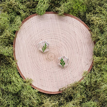 Load image into Gallery viewer, Grove Mini Hexagon Dangles