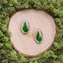 Load image into Gallery viewer, Grove Oval Dangles