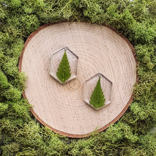 Load image into Gallery viewer, Lichen Hexagon Dangles