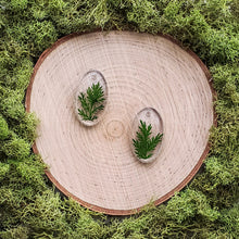 Load image into Gallery viewer, Meadow Oval Dangles