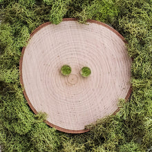 Load image into Gallery viewer, Moss Flat Studs