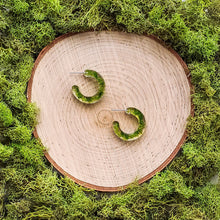Load image into Gallery viewer, Moss Small Hoops