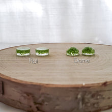 Load image into Gallery viewer, Moss Dome Studs