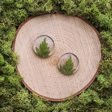 Load image into Gallery viewer, Oak Circle Dangles