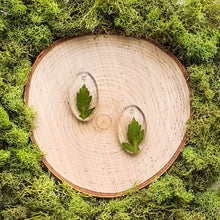 Load image into Gallery viewer, Oak Oval Dangles