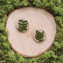 Load image into Gallery viewer, Spruce Body Circle Dangles