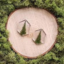 Load image into Gallery viewer, Spruce Top Hexagon Dangles