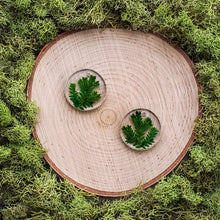 Load image into Gallery viewer, Thicket Circle Dangles