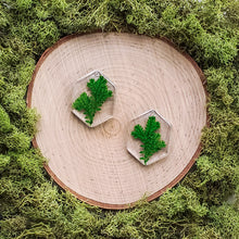 Load image into Gallery viewer, Thicket Hexagon Dangles