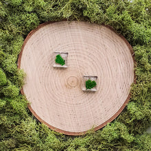 Load image into Gallery viewer, Thicket Square Dangles